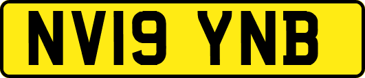NV19YNB