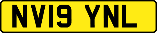 NV19YNL