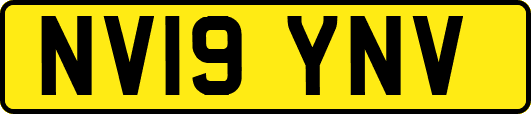 NV19YNV