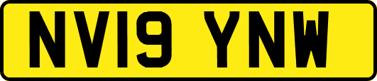 NV19YNW