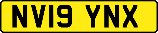NV19YNX