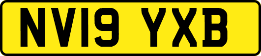 NV19YXB
