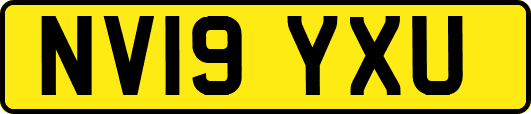 NV19YXU