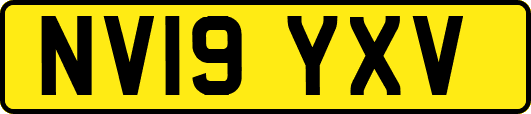NV19YXV
