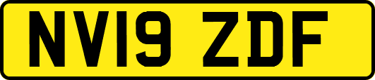 NV19ZDF