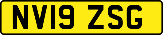 NV19ZSG