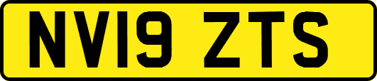 NV19ZTS