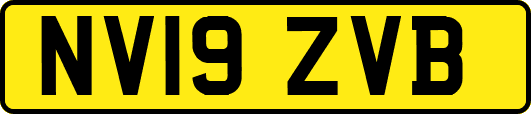 NV19ZVB