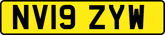 NV19ZYW