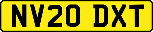 NV20DXT