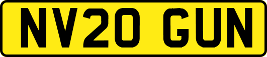 NV20GUN