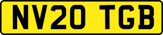 NV20TGB