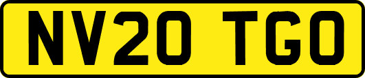 NV20TGO