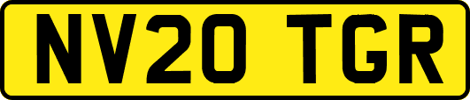 NV20TGR