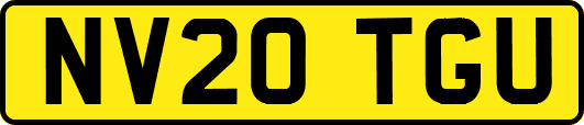 NV20TGU