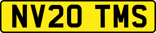 NV20TMS