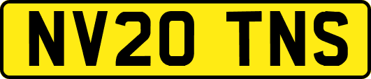 NV20TNS