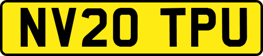 NV20TPU