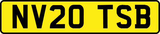 NV20TSB