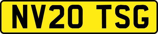 NV20TSG