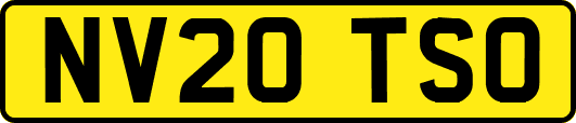 NV20TSO