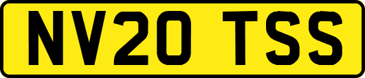NV20TSS