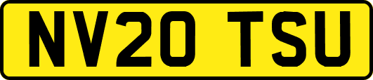 NV20TSU