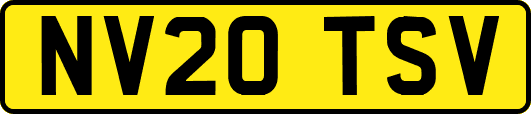 NV20TSV
