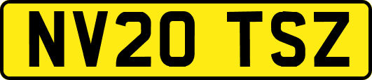 NV20TSZ