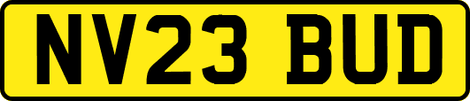 NV23BUD
