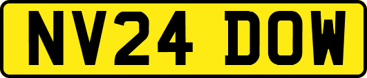 NV24DOW