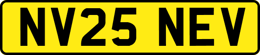 NV25NEV