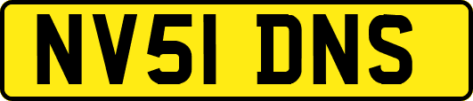 NV51DNS