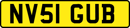 NV51GUB