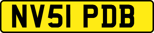 NV51PDB