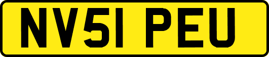 NV51PEU