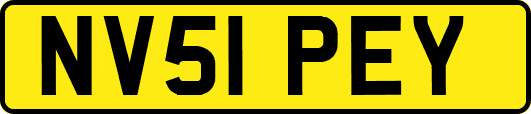 NV51PEY