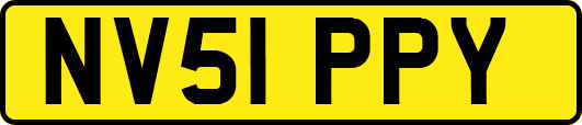 NV51PPY