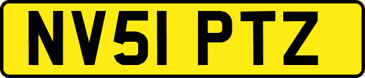 NV51PTZ