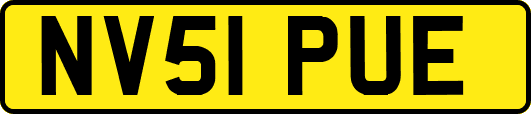 NV51PUE