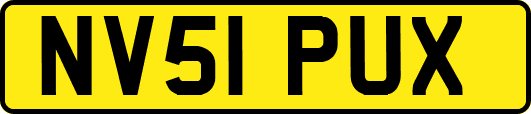NV51PUX