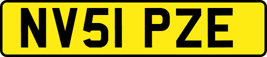 NV51PZE