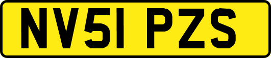 NV51PZS