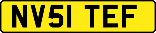 NV51TEF