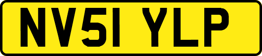 NV51YLP