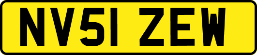 NV51ZEW