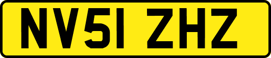 NV51ZHZ