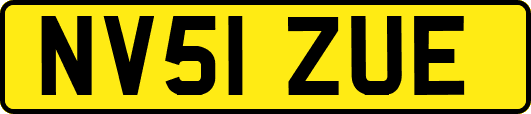 NV51ZUE