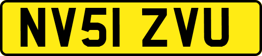 NV51ZVU