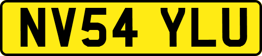 NV54YLU